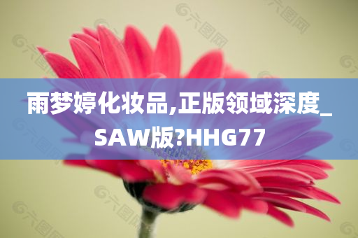 雨梦婷化妆品,正版领域深度_SAW版?HHG77