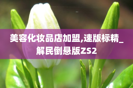 美容化妆品店加盟,速版标精_解民倒悬版ZS2