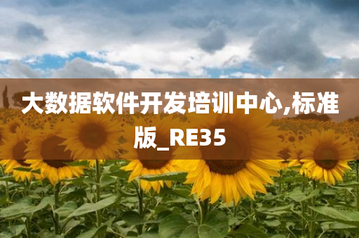 大数据软件开发培训中心,标准版_RE35