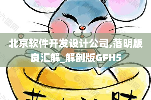 北京软件开发设计公司,落明版良汇解_解剖版GFH5