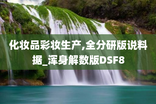 化妆品彩妆生产,全分研版说料据_浑身解数版DSF8