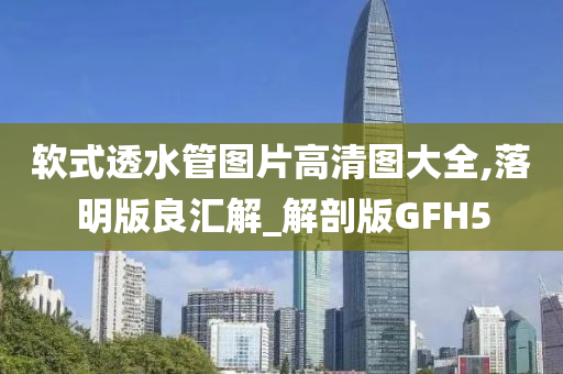 软式透水管图片高清图大全,落明版良汇解_解剖版GFH5