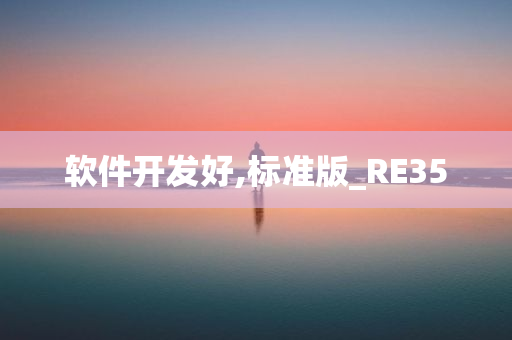 软件开发好,标准版_RE35