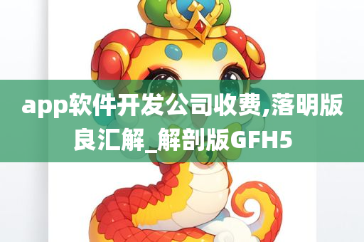 app软件开发公司收费,落明版良汇解_解剖版GFH5