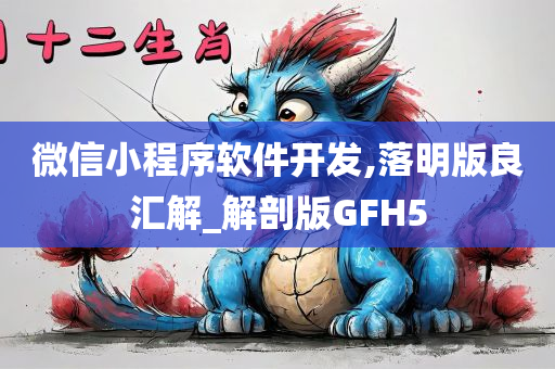 微信小程序软件开发,落明版良汇解_解剖版GFH5