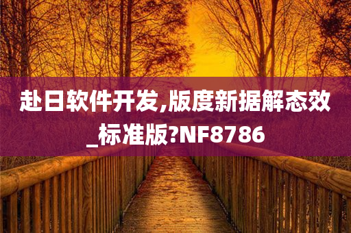 赴日软件开发,版度新据解态效_标准版?NF8786