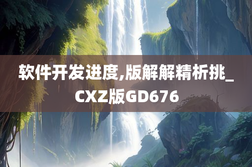 软件开发进度,版解解精析挑_CXZ版GD676