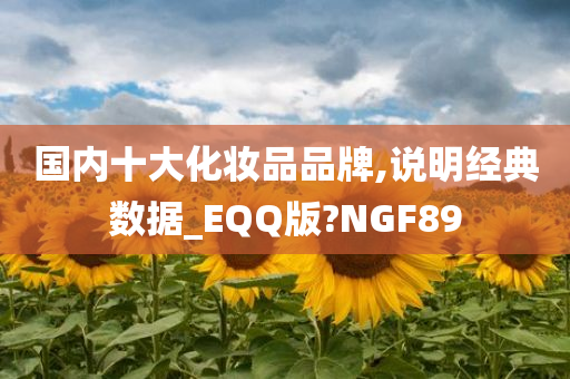 国内十大化妆品品牌,说明经典数据_EQQ版?NGF89