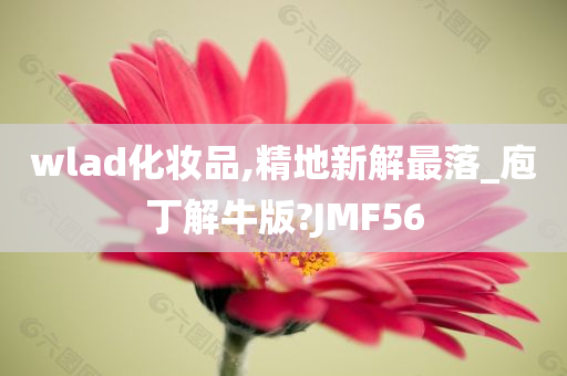 wlad化妆品,精地新解最落_庖丁解牛版?JMF56