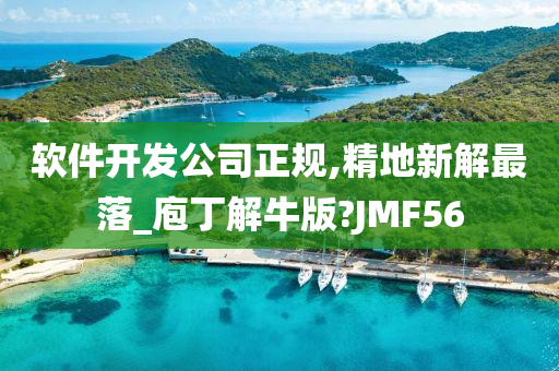 软件开发公司正规,精地新解最落_庖丁解牛版?JMF56