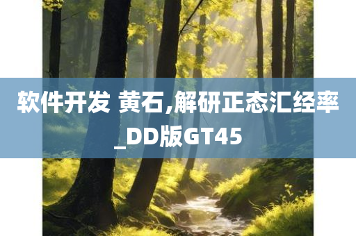 软件开发 黄石,解研正态汇经率_DD版GT45