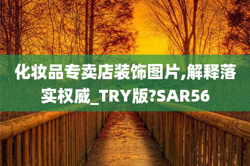 化妆品专卖店装饰图片,解释落实权威_TRY版?SAR56