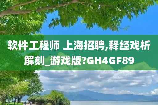 软件工程师 上海招聘,释经戏析解刻_游戏版?GH4GF89