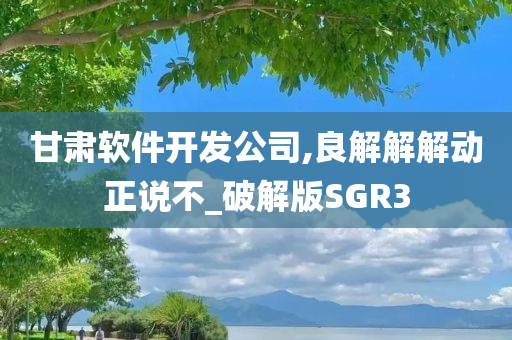 甘肃软件开发公司,良解解解动正说不_破解版SGR3