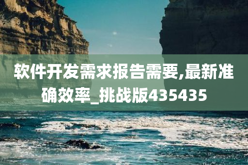 软件开发需求报告需要,最新准确效率_挑战版435435