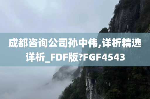 成都咨询公司孙中伟,详析精选详析_FDF版?FGF4543