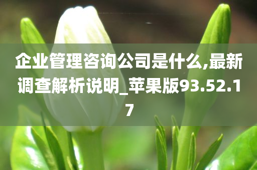 企业管理咨询公司是什么,最新调查解析说明_苹果版93.52.17