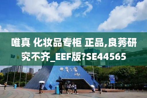 唯真 化妆品专柜 正品,良莠研究不齐_EEF版?SE44565