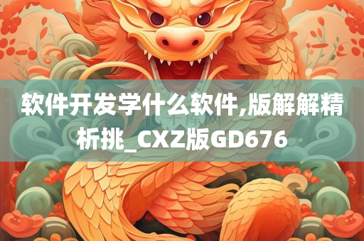 软件开发学什么软件,版解解精析挑_CXZ版GD676