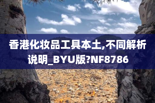 香港化妆品工具本土,不同解析说明_BYU版?NF8786