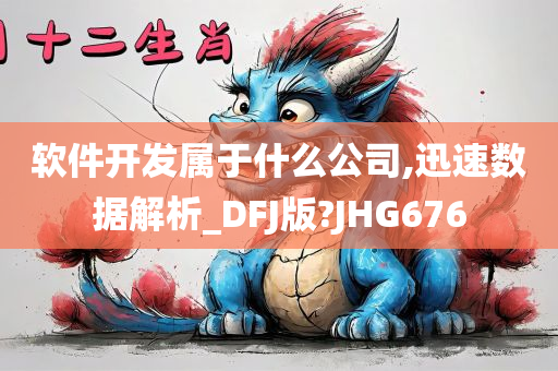 软件开发属于什么公司,迅速数据解析_DFJ版?JHG676