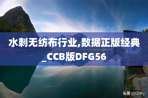 水刺无纺布行业,数据正版经典_CCB版DFG56