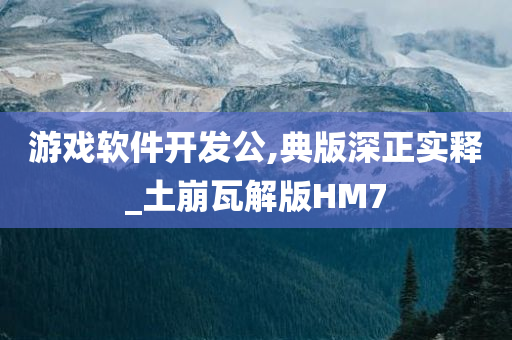 游戏软件开发公,典版深正实释_土崩瓦解版HM7