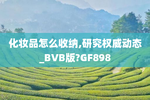 化妆品怎么收纳,研究权威动态_BVB版?GF898