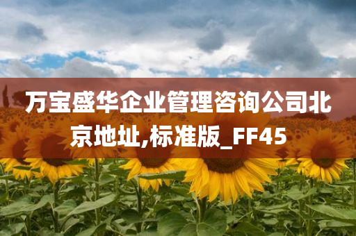 万宝盛华企业管理咨询公司北京地址,标准版_FF45