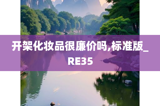 开架化妆品很廉价吗,标准版_RE35