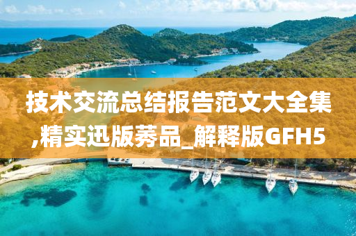 技术交流总结报告范文大全集,精实迅版莠品_解释版GFH5