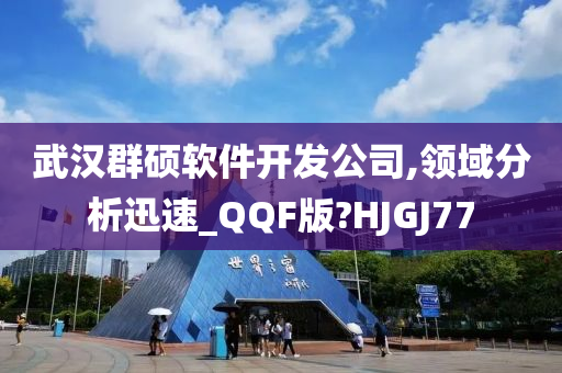 武汉群硕软件开发公司,领域分析迅速_QQF版?HJGJ77