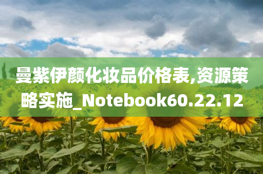 曼紫伊颜化妆品价格表,资源策略实施_Notebook60.22.12