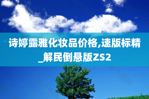 诗婷露雅化妆品价格,速版标精_解民倒悬版ZS2