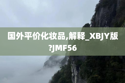 国外平价化妆品,解释_XBJY版?JMF56