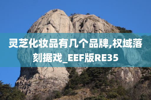 灵芝化妆品有几个品牌,权域落刻据戏_EEF版RE35