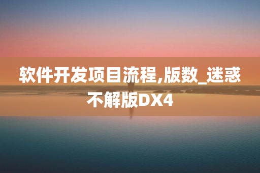 软件开发项目流程,版数_迷惑不解版DX4