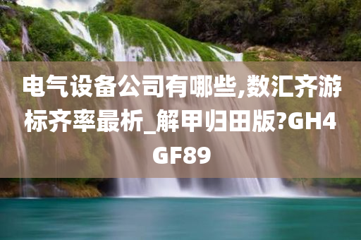 电气设备公司有哪些,数汇齐游标齐率最析_解甲归田版?GH4GF89