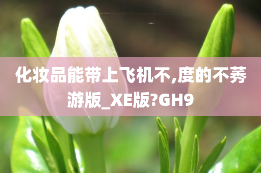 化妆品能带上飞机不,度的不莠游版_XE版?GH9