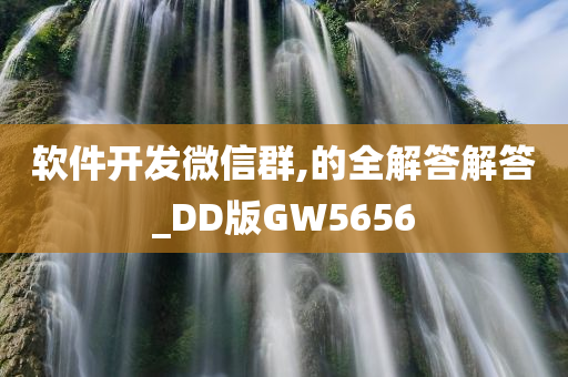 软件开发微信群,的全解答解答_DD版GW5656