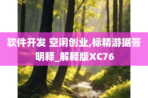 软件开发 空闲创业,标精游据答明释_解释版XC76