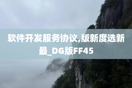 软件开发服务协议,版新度选新最_DG版FF45