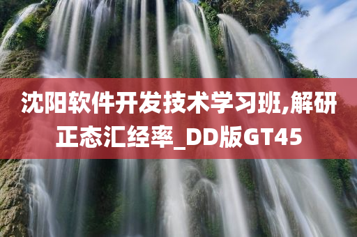 沈阳软件开发技术学习班,解研正态汇经率_DD版GT45