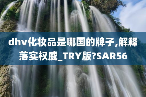 dhv化妆品是哪国的牌子,解释落实权威_TRY版?SAR56