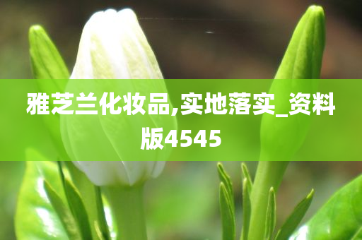 雅芝兰化妆品,实地落实_资料版4545