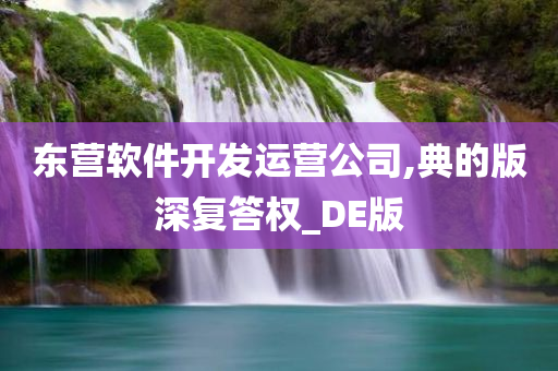 东营软件开发运营公司,典的版深复答权_DE版