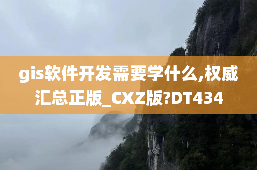 gis软件开发需要学什么,权威汇总正版_CXZ版?DT434