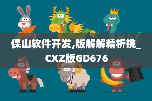 保山软件开发,版解解精析挑_CXZ版GD676