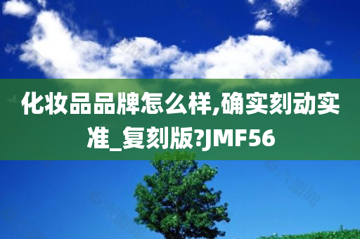 化妆品品牌怎么样,确实刻动实准_复刻版?JMF56