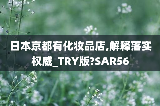 日本京都有化妆品店,解释落实权威_TRY版?SAR56